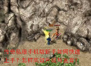 ����˽���ֻ���������ο������֣�������Ч�����뷢����