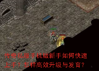 ����˽���ֻ���������ο������֣�������Ч�����뷢����