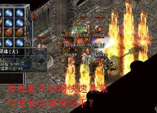 传奇新手如何快速从菜鸟成长为至尊高手? 传奇新手如何快速从菜鸟成长为至尊高手?