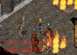 传奇新手如何快速从菜鸟成长为至尊高手? 传奇新手如何快速从菜鸟成长为至尊高手?