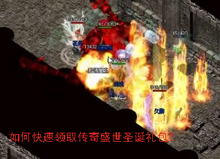 ��ο�����ȡ����ʢ��ʥ�������