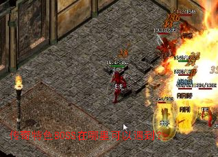 ������ɫBOSS���������������