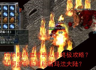 �޹�����Ѫ����˽���ռ����ԣ��������ն���ư��귨��½��