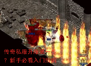 ����˽��������һ�������ֱؿ�����ָ��