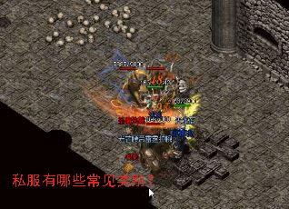 ˽������Щ�������