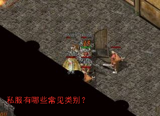 ˽������Щ�������