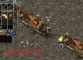 ˽������Щ�������