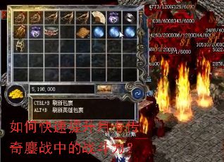 ��ο��������¿�������ս�е�ս������