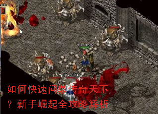 ��ο����ʶ��������£���������ȫ���Խ���