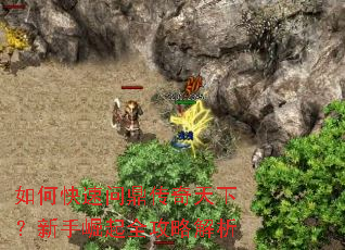 ��ο����ʶ��������£���������ȫ���Խ���