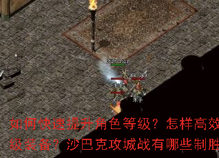 ��ο���������ɫ�ȼ���������Ч��ȡ�߼�װ����ɳ�Ϳ˹���ս����Щ��ʤ���ԣ�