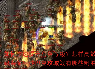 ��ο���������ɫ�ȼ���������Ч��ȡ�߼�װ����ɳ�Ϳ˹���ս����Щ��ʤ���ԣ�