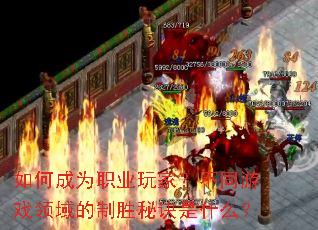 ��γ�Ϊְҵ��ң���ͬ��Ϸ�������ʤ�ؾ���ʲô��