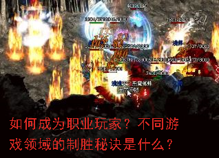 ��γ�Ϊְҵ��ң���ͬ��Ϸ�������ʤ�ؾ���ʲô��