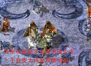 ����˽��������ο������֣�С�ױ����ȫ����ָ��