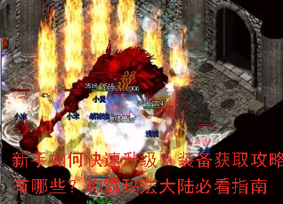 ������ο���������װ����ȡ��������Щ���ư��귨��½�ؿ�ָ��