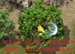 ������ο���������װ����ȡ��������Щ���ư��귨��½�ؿ�ָ��