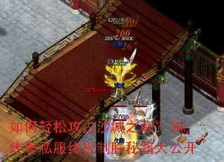 ������ɹ�ռɳ��֮�ۣ�3D����˽���ռ���ʤ�ؼ��󹫿�