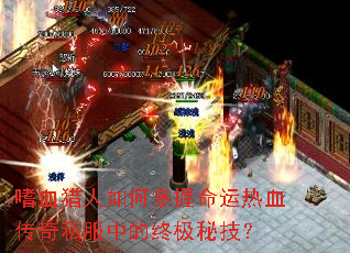 ��Ѫ�����������������Ѫ����˽���е��ռ��ؼ���