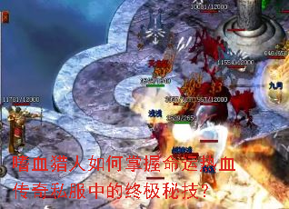 ��Ѫ�����������������Ѫ����˽���е��ռ��ؼ���