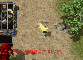 ��ʿ����BOSS����Щʵ�ü��ɣ�