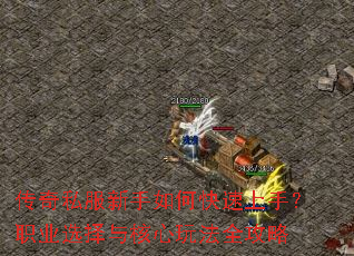 ����˽��������ο������֣�ְҵѡ��������淨ȫ����