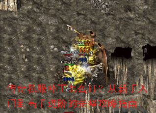 ����˽��������ô�򣿴��������ŵ����ֽ��׵���������ָ��