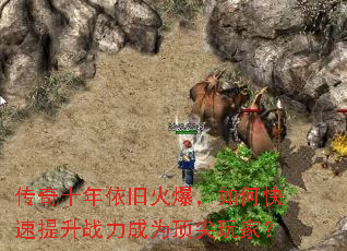 ����ʮ�����ɻ𱬣���ο�������ս����Ϊ������ң�