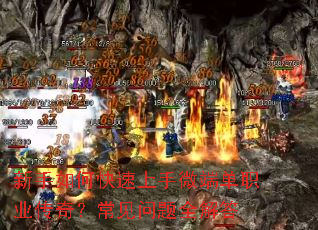 ������ο�������΢�˵�ְҵ���棿��������ȫ���
