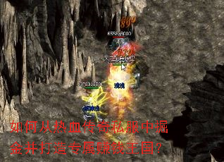 ��δ���Ѫ����˽���о�𲢴���ר��׬Ǯ������