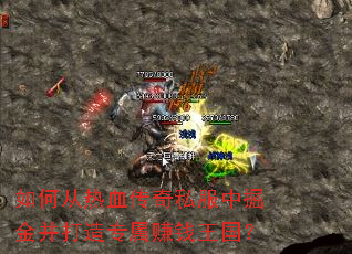 ��δ���Ѫ����˽���о�𲢴���ר��׬Ǯ������