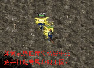 ��δ���Ѫ����˽���о�𲢴���ר��׬Ǯ������