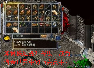 如何快速提升等级,成为传奇世界中的顶尖高手? 如何快速提升等级,成为传奇世界中的顶尖高手?
