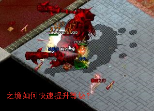 之境如何快速提升等级? 之境如何快速提升等级?