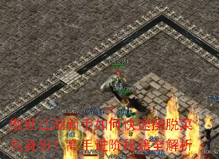傲世江湖新手如何快速摆脱菜鸟身份?高手进阶秘籍全解析 傲世江湖新手如何快速摆脱菜鸟身份?高手进阶秘籍全解析
