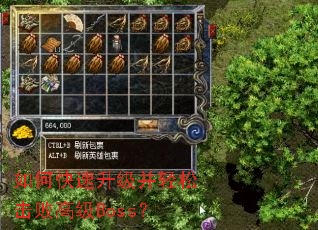如何快速升级并轻松击败高级Boss? 如何快速升级并轻松击败高级Boss?