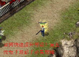 如何快速提升等级?复古传奇手游新手必看攻略 如何快速提升等级?复古传奇手游新手必看攻略