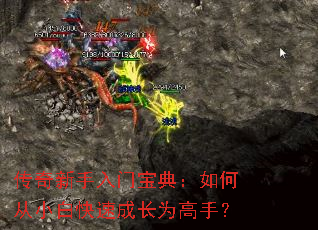 �����������ű��䣺��δ�С�׿��ٳɳ�Ϊ���֣�