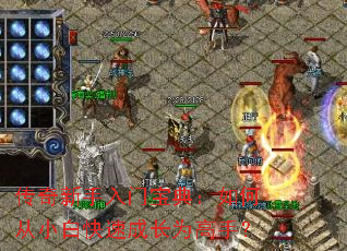 �����������ű��䣺��δ�С�׿��ٳɳ�Ϊ���֣�