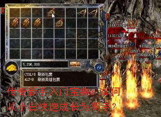 �����������ű��䣺��δ�С�׿��ٳɳ�Ϊ���֣�