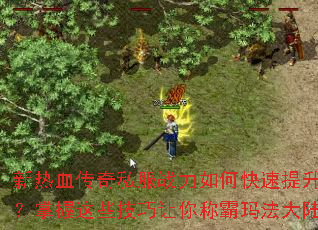新热血传奇私服战力如何快速提升?掌握这些技巧让你称霸玛法大陆 新热血传奇私服战力如何快速提升?掌握这些技巧让你称霸玛法大陆