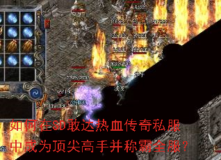 如何在SD敢达热血传奇私服中成为顶尖高手并称霸全服? 如何在SD敢达热血传奇私服中成为顶尖高手并称霸全服?