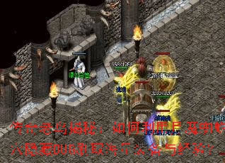 传奇老鸟揭秘:如何利用月魔蜘蛛巢穴隐藏BUG刷取海量装备与经验? 传奇老鸟揭秘:如何利用月魔蜘蛛巢穴隐藏BUG刷取海量装备与经验?