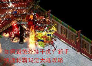 如何避免外挂干扰?新手快速称霸玛法大陆攻略 如何避免外挂干扰?新手快速称霸玛法大陆攻略