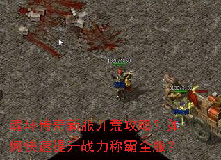 魂环传奇新服开荒攻略?如何快速提升战力称霸全服? 魂环传奇新服开荒攻略?如何快速提升战力称霸全服?