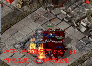 魂环传奇新服开荒攻略?如何快速提升战力称霸全服? 魂环传奇新服开荒攻略?如何快速提升战力称霸全服?