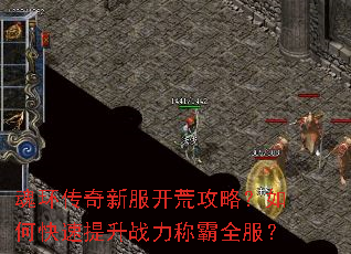 魂环传奇新服开荒攻略?如何快速提升战力称霸全服? 魂环传奇新服开荒攻略?如何快速提升战力称霸全服?