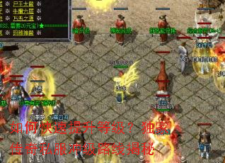 如何快速提升等级?独家传奇私服冲级路线揭秘 如何快速提升等级?独家传奇私服冲级路线揭秘