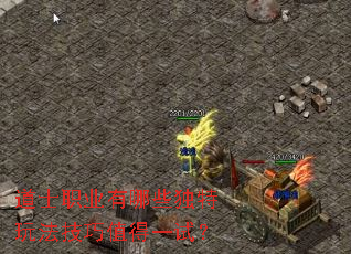 道士职业有哪些独特玩法技巧值得一试? 道士职业有哪些独特玩法技巧值得一试?