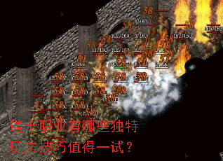 道士职业有哪些独特玩法技巧值得一试? 道士职业有哪些独特玩法技巧值得一试?
